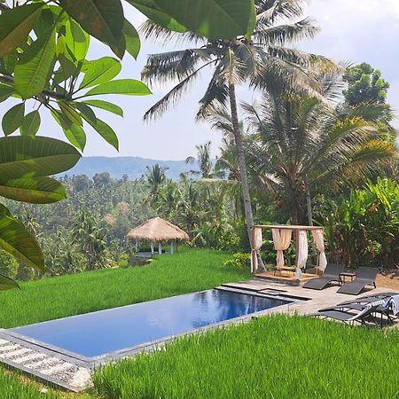 Bali De Pardis Cottage Munduk Exterior foto