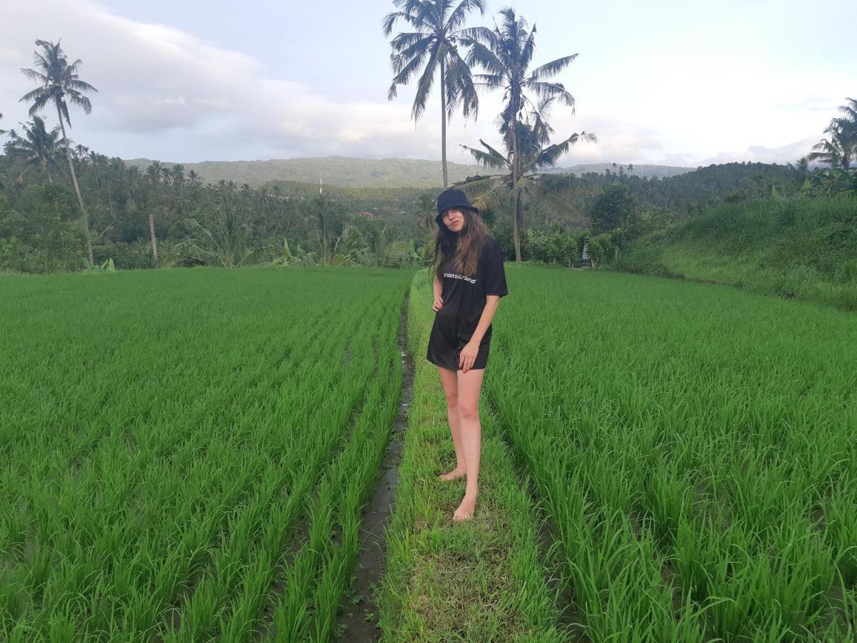 Bali De Pardis Cottage Munduk Exterior foto